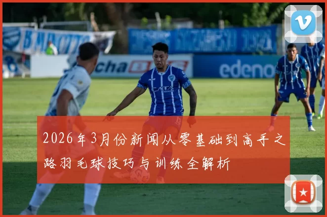 2026年3月份新闻从零基础到高手之路羽毛球技巧与训练全解析