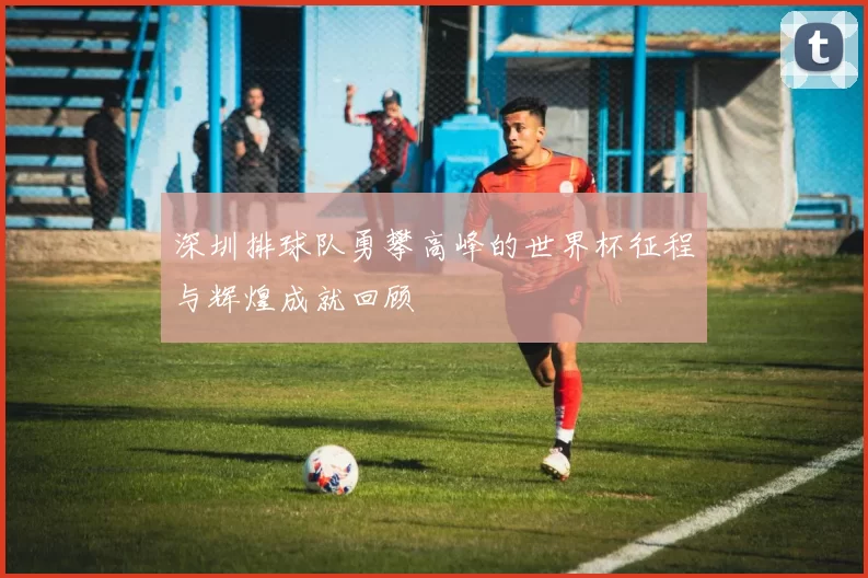 深圳排球队勇攀高峰的世界杯征程与辉煌成就回顾